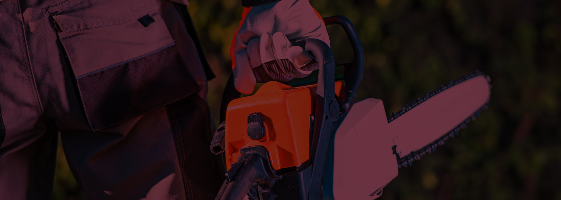 Homepage Image